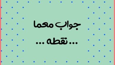 آن چیست که مالک ندارد ولی مستاجر دارد