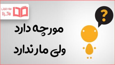 آن چیست که مورچه دارد اما مار ندارد