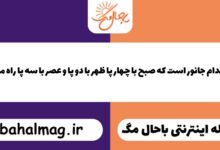 آن کدام جانور است که صبح با چهار پا ظهر با دو پا و عصر با سه پا راه میرود