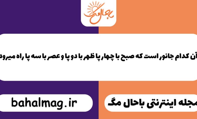 آن کدام جانور است که صبح با چهار پا ظهر با دو پا و عصر با سه پا راه میرود