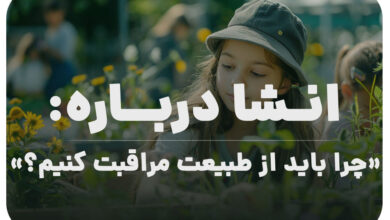 چرا باید از جنگل محافظت کنیم کلاس سوم