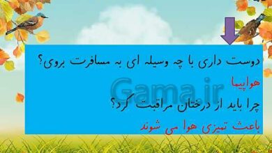 چرا باید از درختان مراقبت کرد کلاس اول