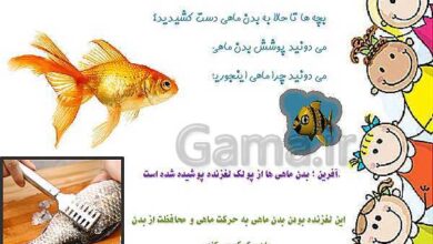 چرا بدن ماهی لغزنده است کلاس سوم