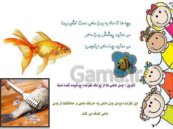 چرا بدن ماهی لغزنده است کلاس سوم