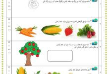جواب سوالات فصل پنجم علوم اول ابتدایی