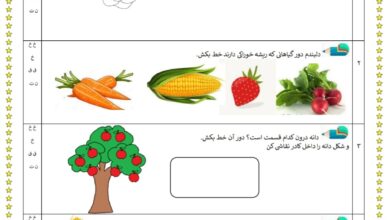 جواب سوالات فصل پنجم علوم اول ابتدایی