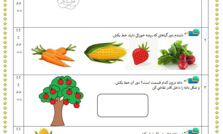 جواب سوالات فصل پنجم علوم اول ابتدایی
