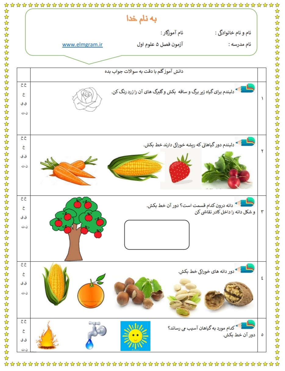 جواب سوالات فصل پنجم علوم اول ابتدایی