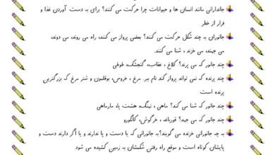 جواب سوالات فصل چهارم علوم اول ابتدایی (دنیای جانوران)