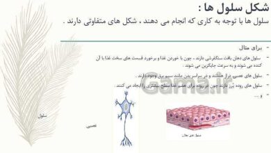 چرا شکل سلول ها متفاوت است علوم چهارم