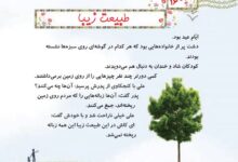 چرا نباید طبیعت را کثیف کنیم علوم دوم