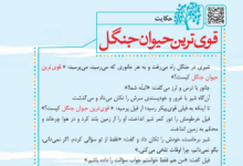 جواب حکایت صفحه 28 فارسی چهارم