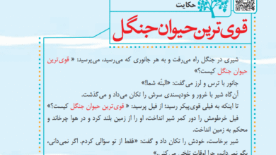 جواب حکایت صفحه 28 فارسی چهارم