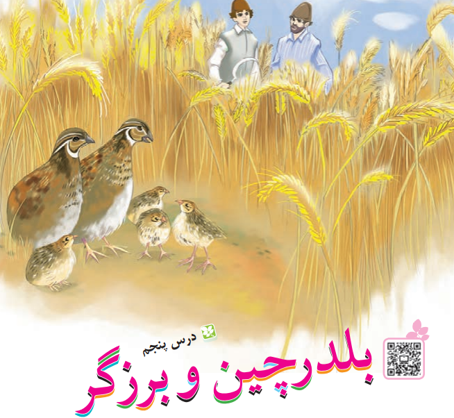 جواب سوالات درس بلدرچین و برزگر کلاس سوم