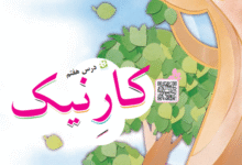جواب سوالات درس هفتم سوم ابتدایی (کار نیک)