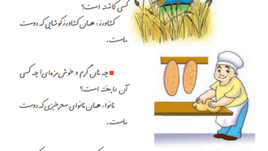 جواب سوالات درس هفتم فارسی دوم ابتدایی