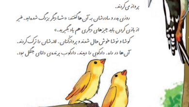 جواب سوالات صفحه 39 فارسی دوم