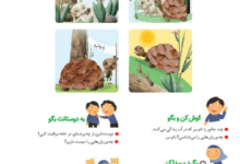 جواب سوالات صفحه 56 فارسی اول ابتدایی