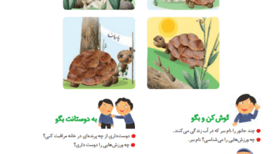 جواب سوالات صفحه 56 فارسی اول ابتدایی