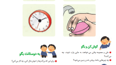جواب سوالات صفحه 91 فارسی اول ابتدایی