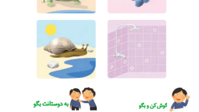 جواب سوالات صفحه 93 فارسی اول ابتدایی
