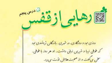 در داستان بیان شده است که طوطی هندوستان پس از شنیدن پیغام از بالای درخت افتاد و مرد. آیا طوطی واقعاً مرده بود؟ چرا؟