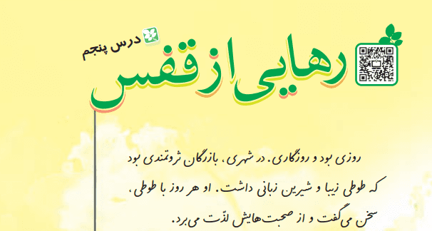 در داستان بیان شده است که طوطی هندوستان پس از شنیدن پیغام از بالای درخت افتاد و مرد. آیا طوطی واقعاً مرده بود؟ چرا؟