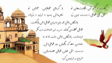 وقتی بازرگان مرگ طوطی هندوستان را برای طوطی خود بازگو کرد چه اتفاقی افتاد؟