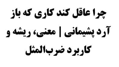 چرا عاقل کند کاری که باز آرد پشیمانی معنی، ریشه و کاربرد ضرب‌المثل