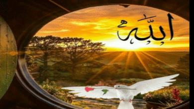 ۱۵ جمله انگیزشی با یاد خداوند برای شروع روز (مطلب)