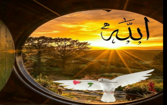۱۵ جمله انگیزشی با یاد خداوند برای شروع روز (مطلب)