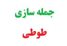 25 جمله سازی با طوطی