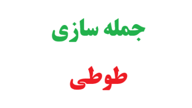 25 جمله سازی با طوطی 6 25 جمله سازی با طوطی