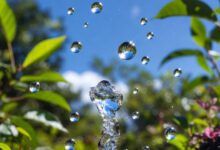 انشا درباره قطره قطره جمع گردد وانگهی دریا شود کلاس هفتم