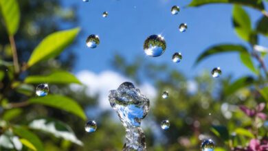 انشا درباره قطره قطره جمع گردد وانگهی دریا شود کلاس هفتم